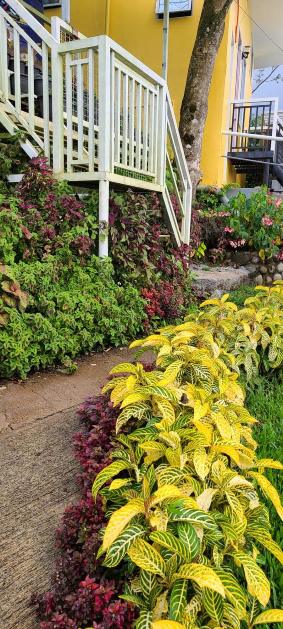 Serene Mountain Escape Digos Exterior photo
