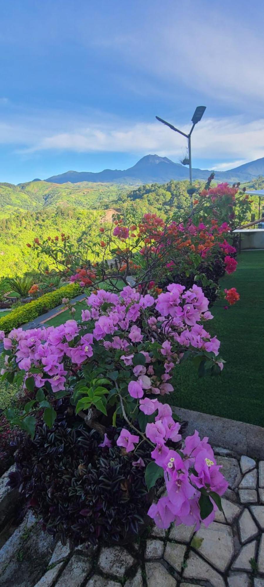 Serene Mountain Escape Digos Exterior photo